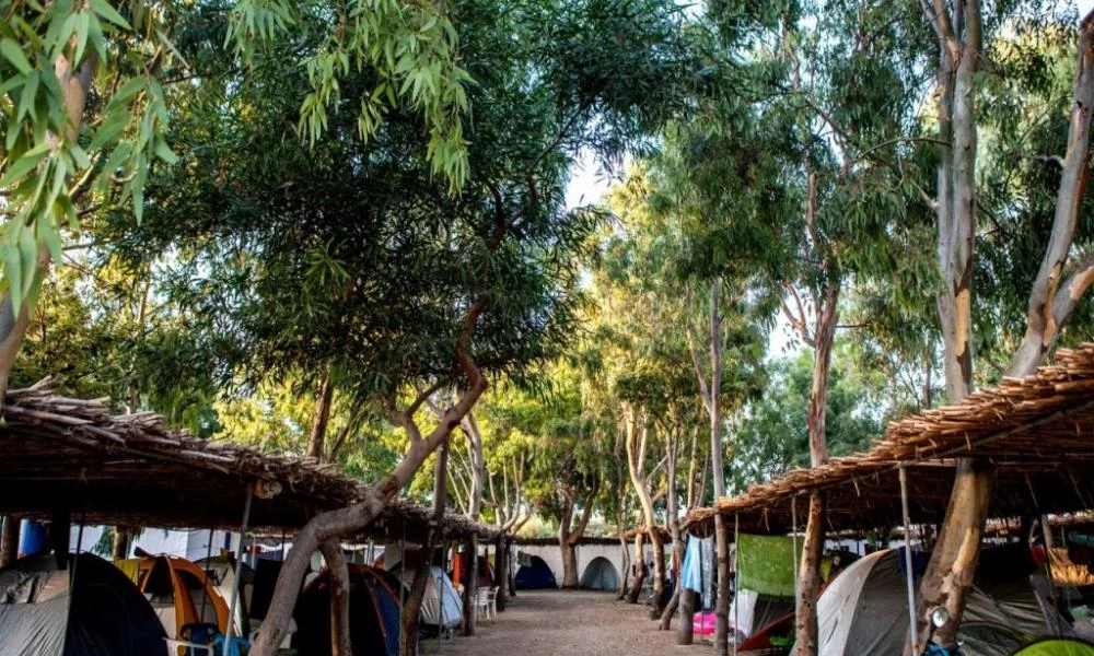 Φωτιά στην Εύβοια: Συγκλονιστικό βίντεο από το καμένο camping στην Αγία Άννα